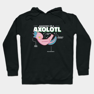 Anatomy of Axolotl Hoodie